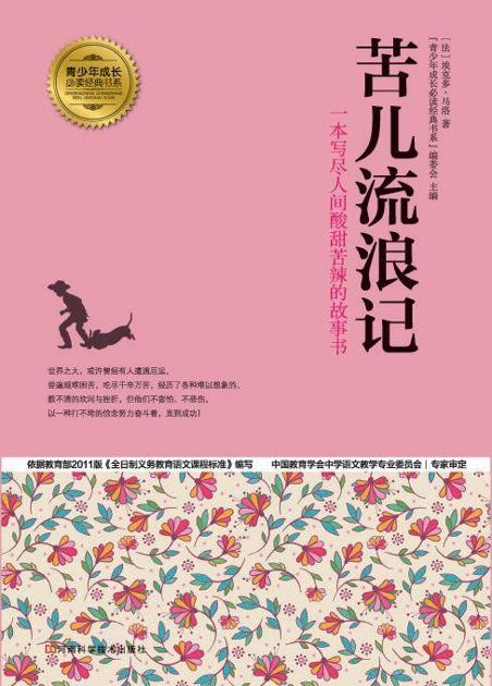 苦儿流浪记 (青少年成长必读经典书系)
